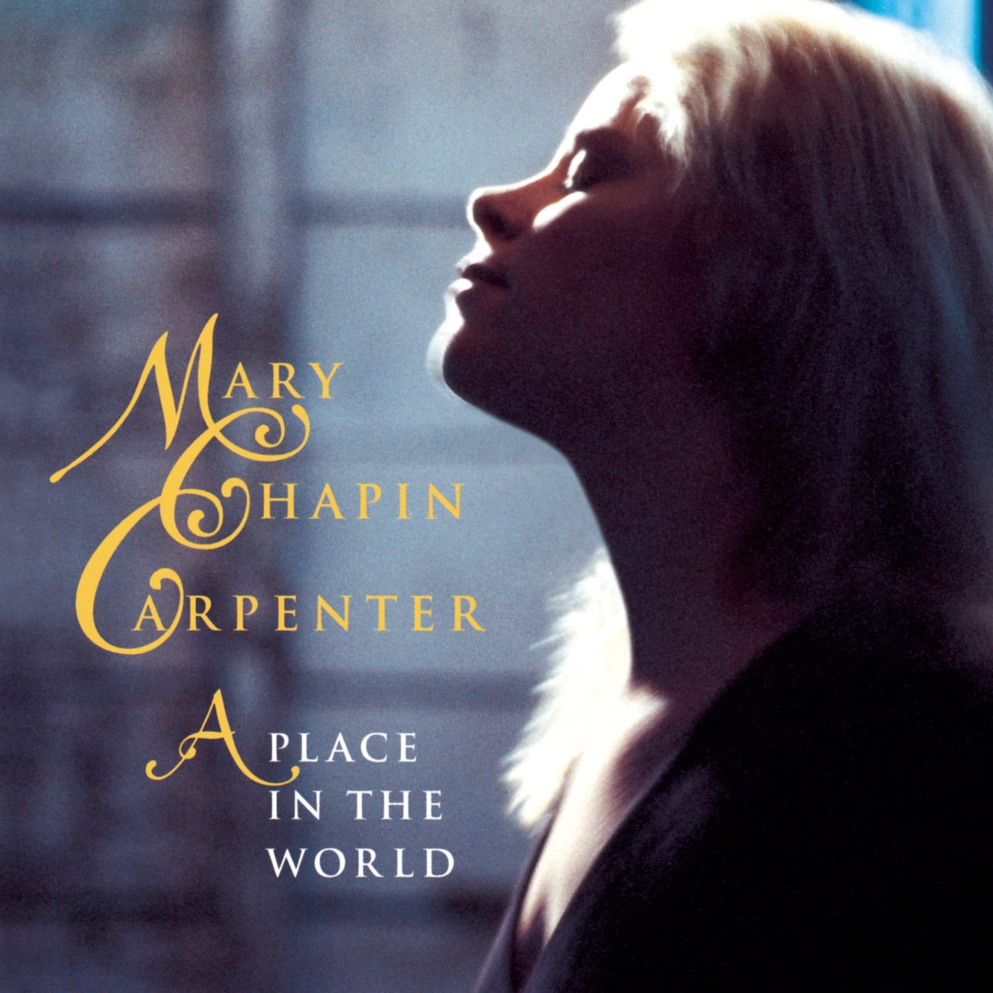 Mary Chapin Carpenter / A Place in the World - CD (Used)