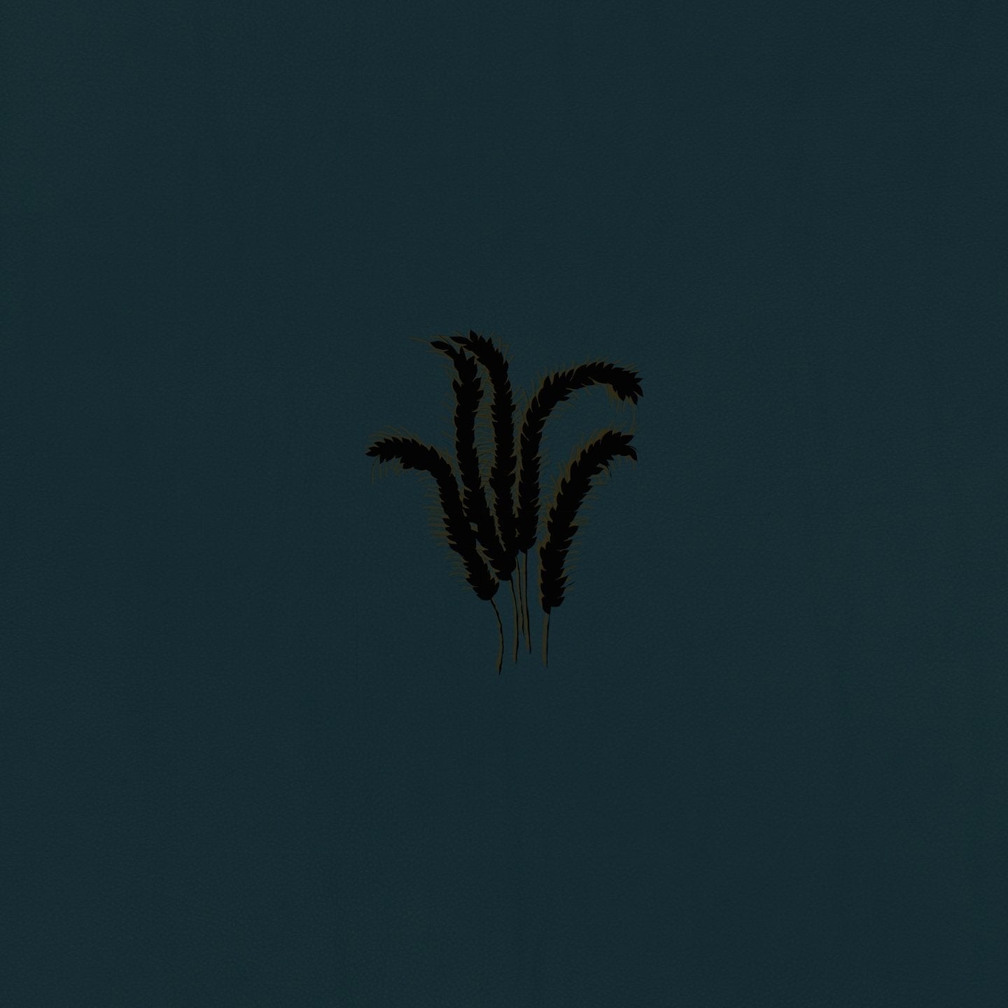 Whimm / A Stare Ajar - LP Vinyl