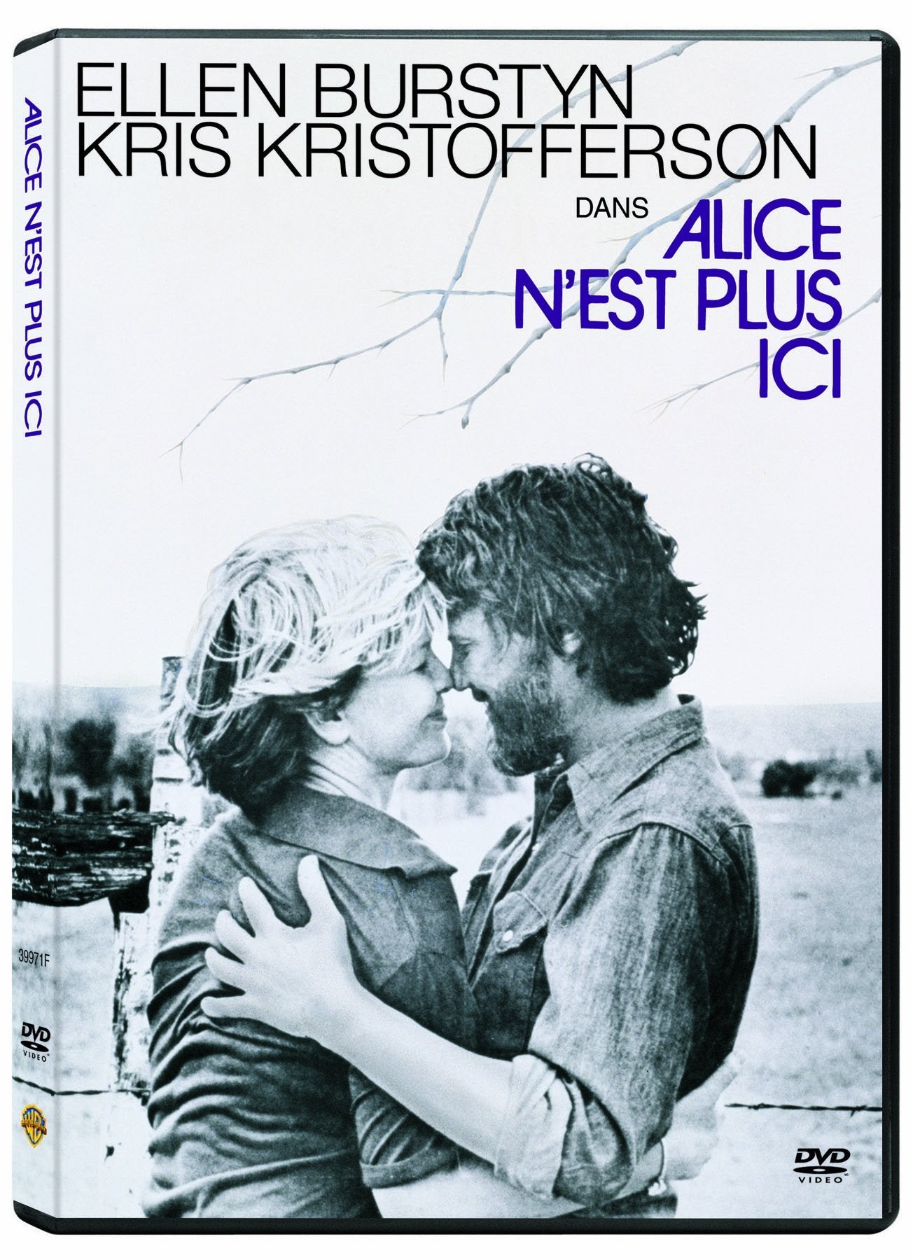 Alice N'est Plus Ici - DVD