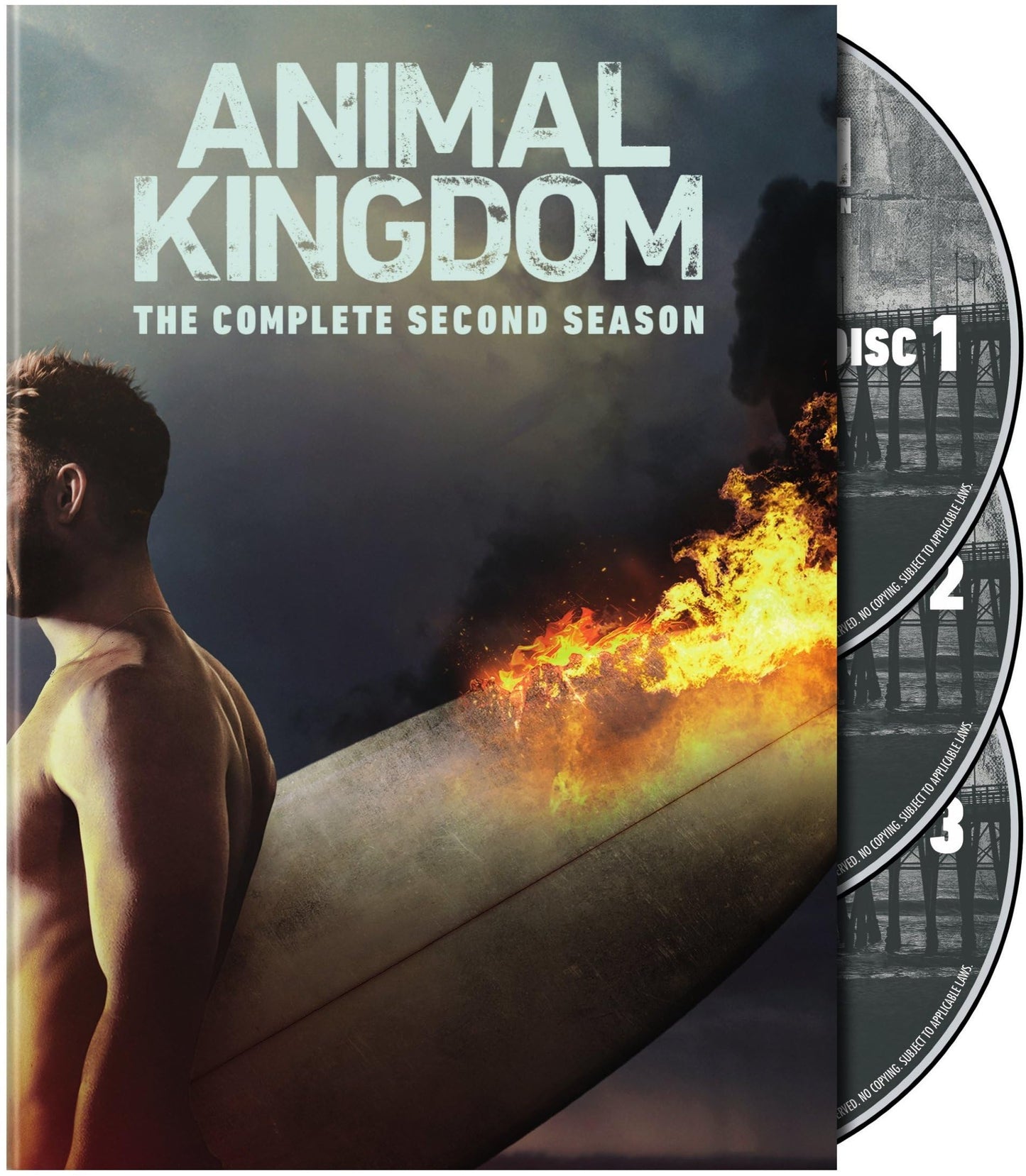 Animal Kingdom: The Complete Second Season (DVD)