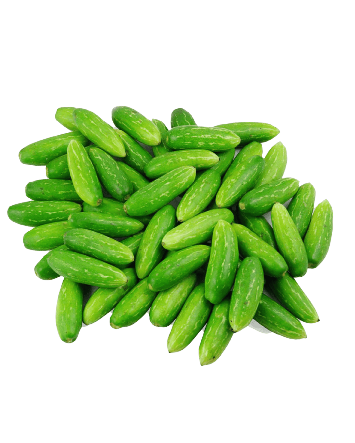 Tindora