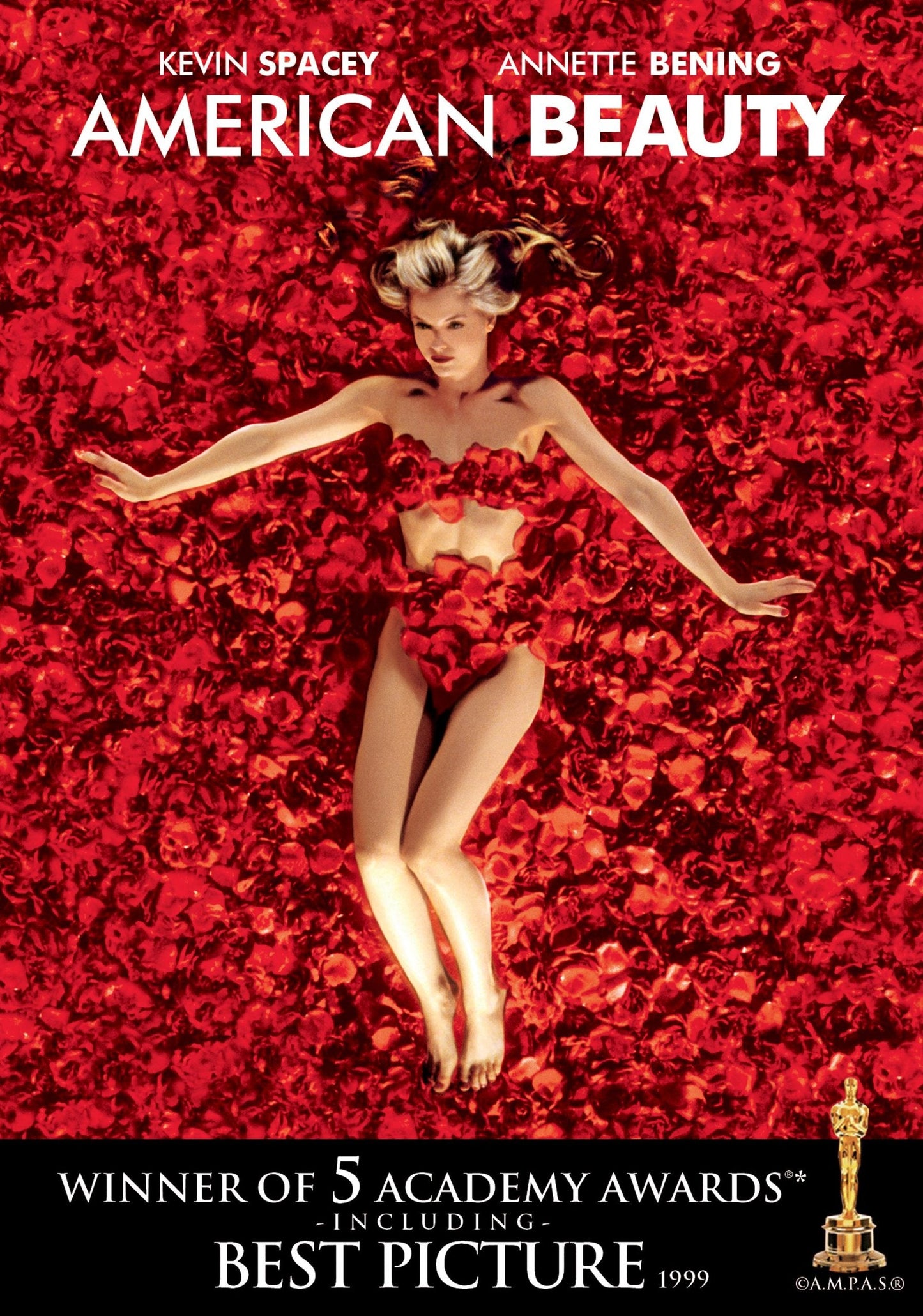 American Beauty - DVD (Used)