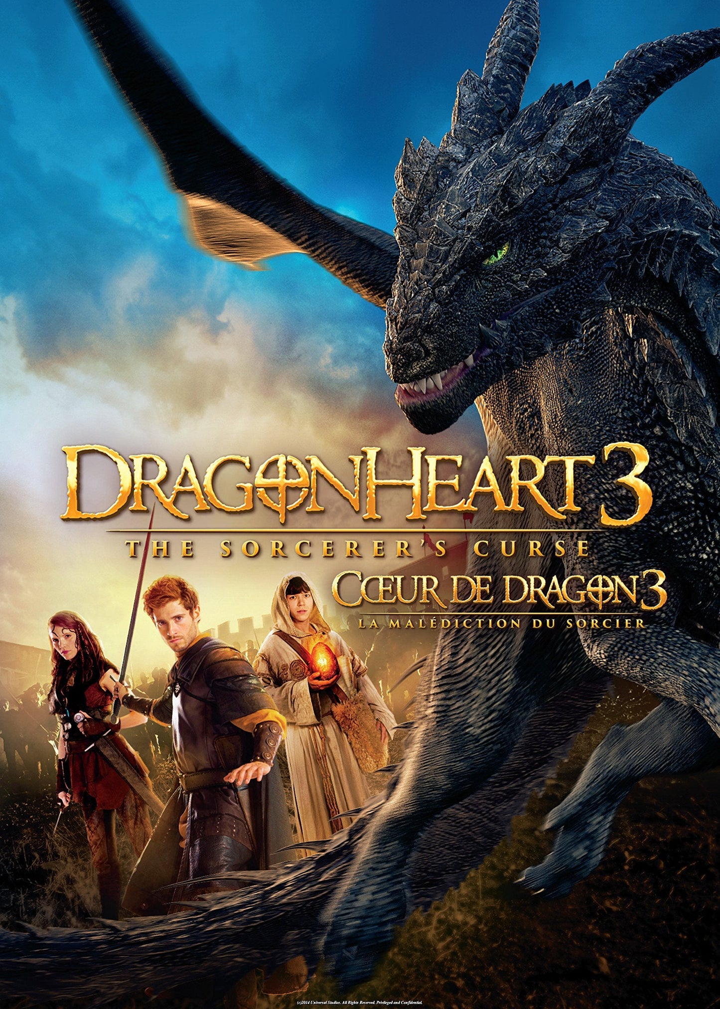 Dragonheart 3: The Sorcerer's Curse - DVD (Used)