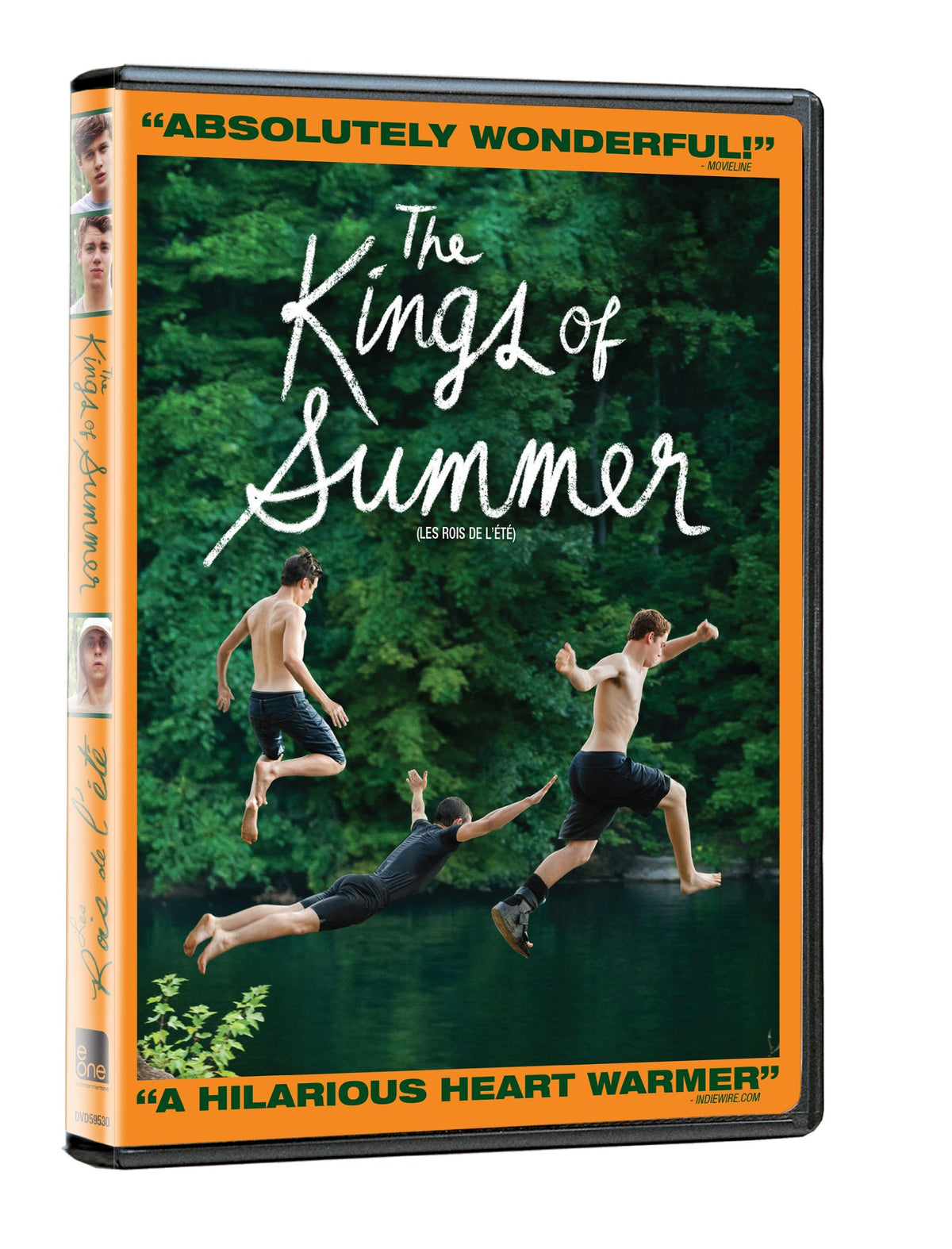 The Kings of Summer - DVD (Used)