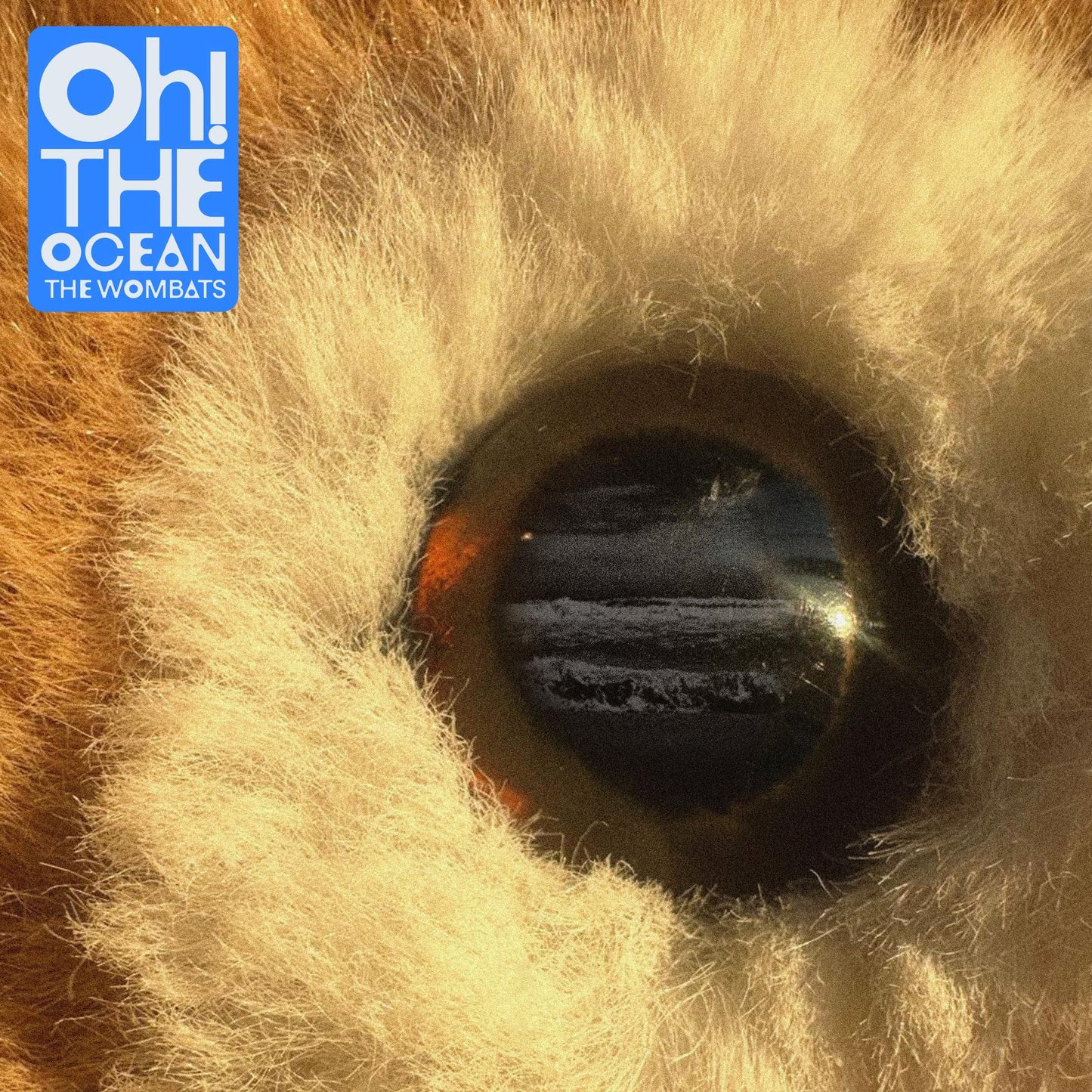 The Wombats / Oh! The Ocean - CD