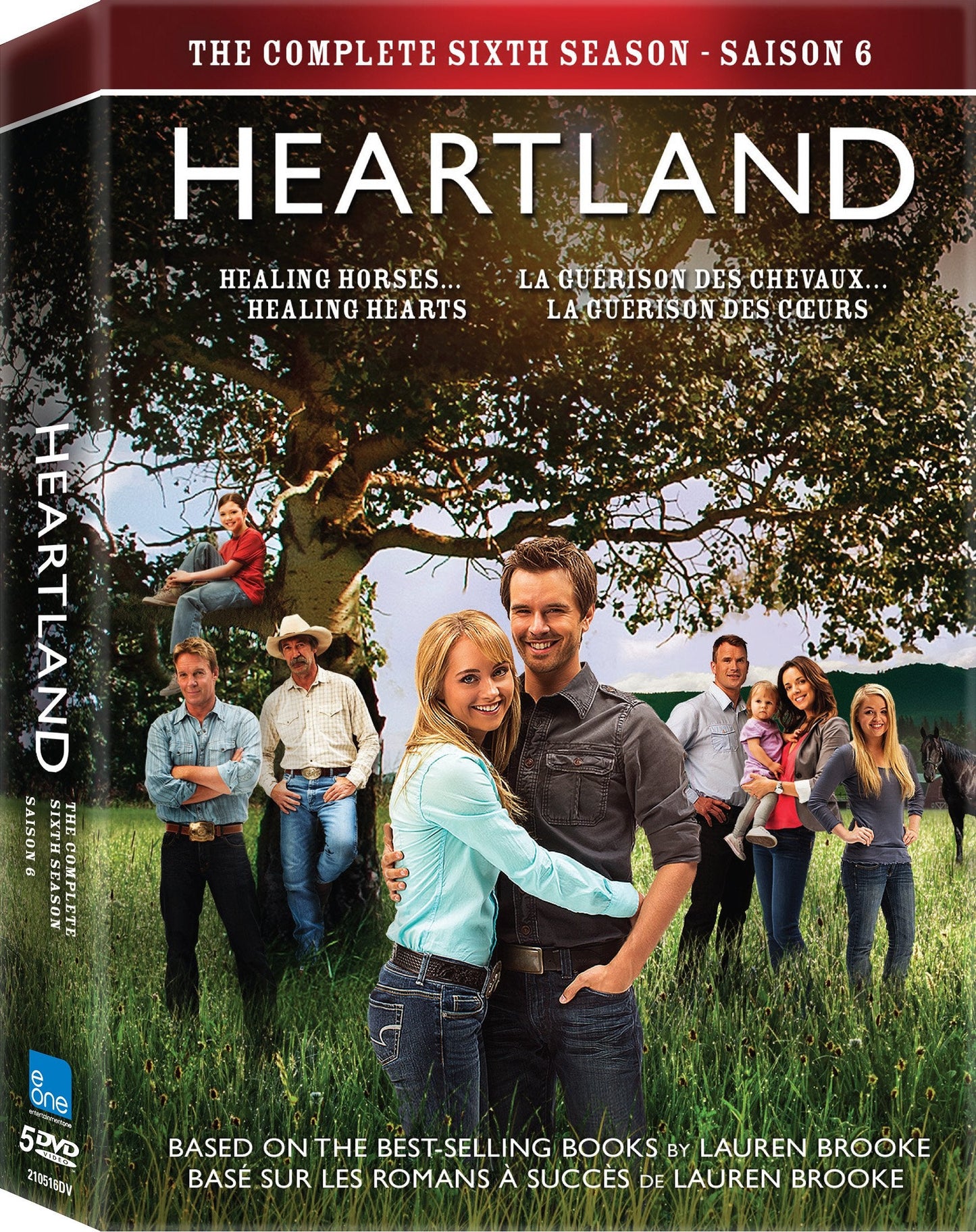 Heartland / The Complete Sixth Season - DVD (Used)