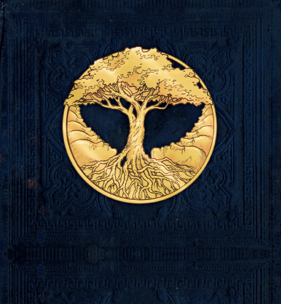 Bears of Legend / A Million Lives - CD