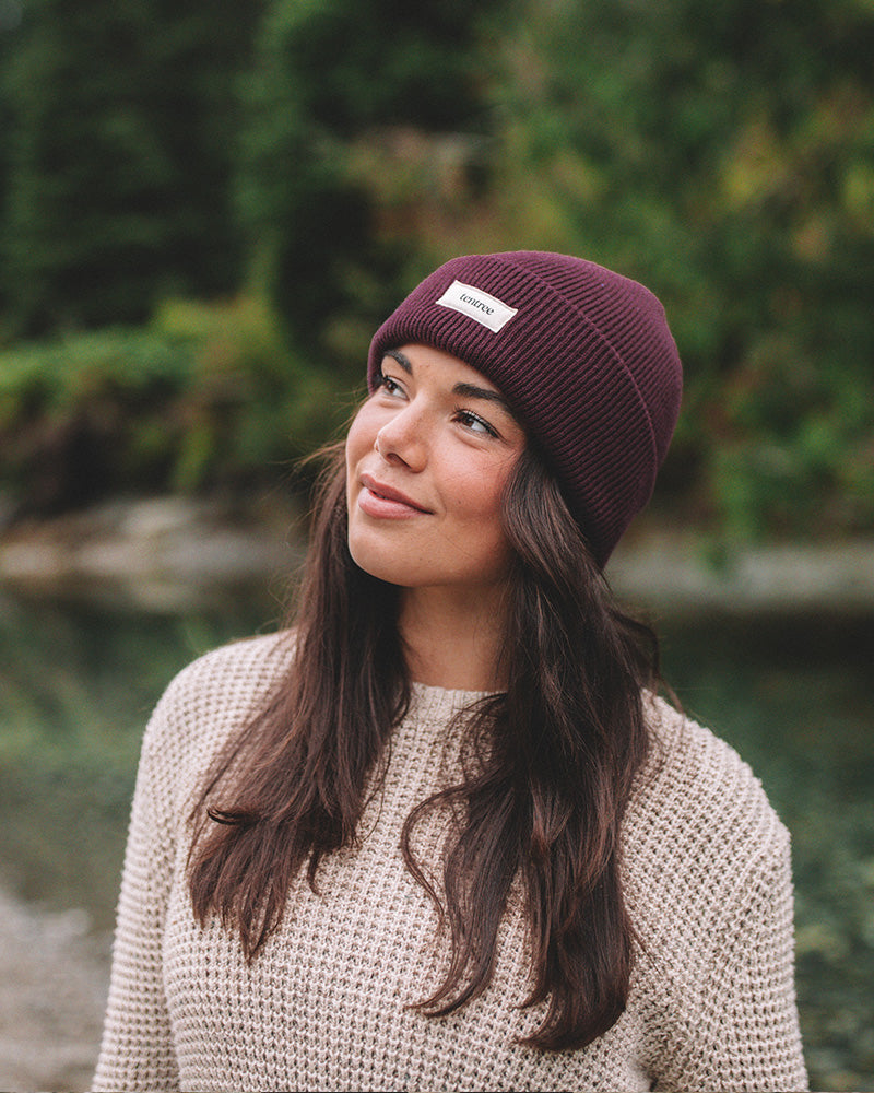 Alden Beanie