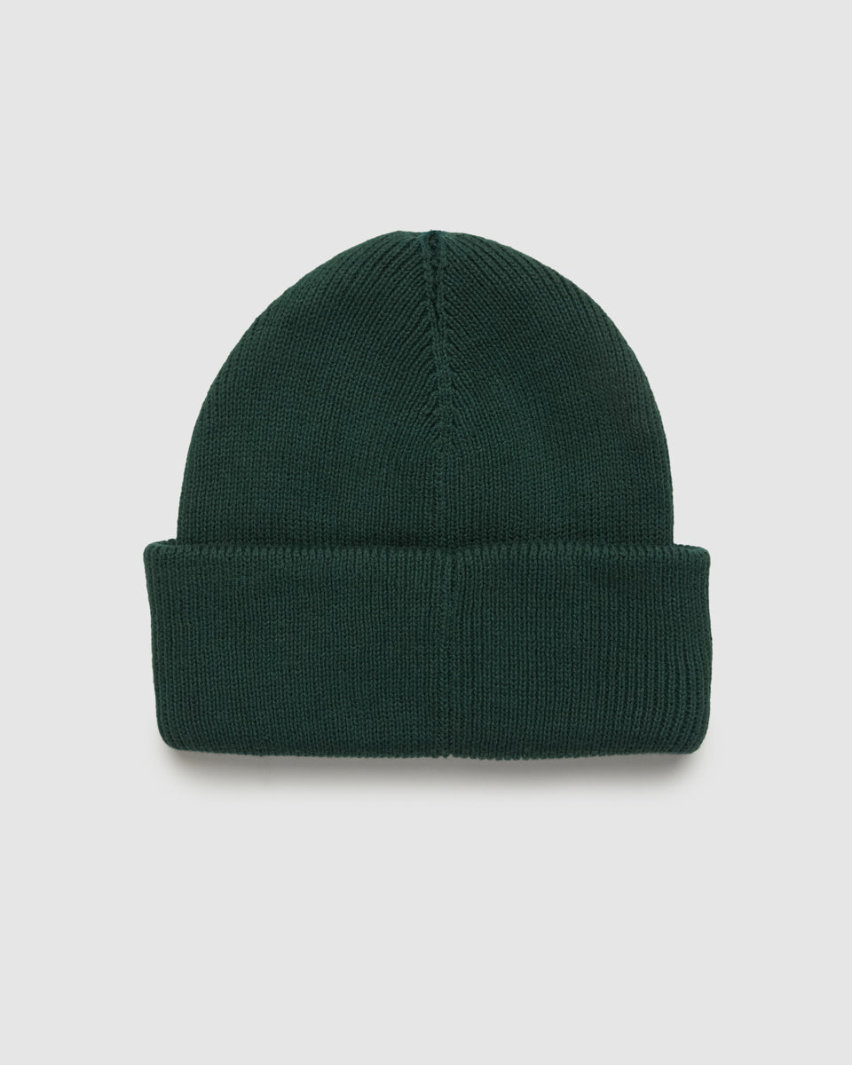 Alden Beanie