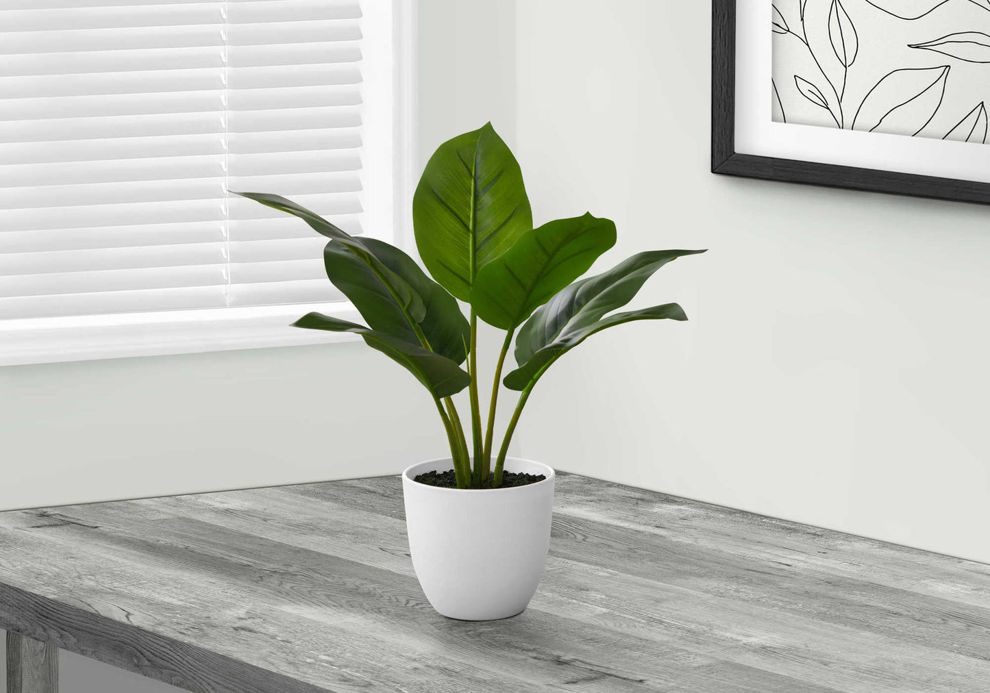 Plante artificielle - Aureum Pot intérieur 5'', 17''H - Monarch (I 9502)