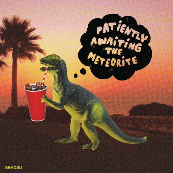 Patiently Awaiting The Meteorite / Canyon Diablo - LP Used