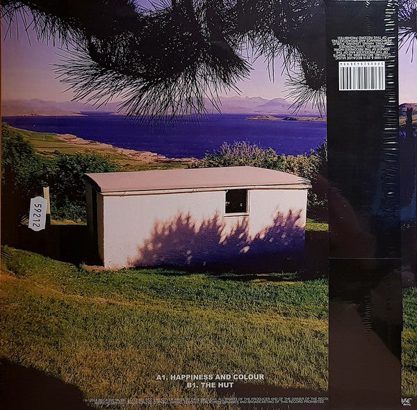 The Beta Band / The Beta Band - 2LP 2CD