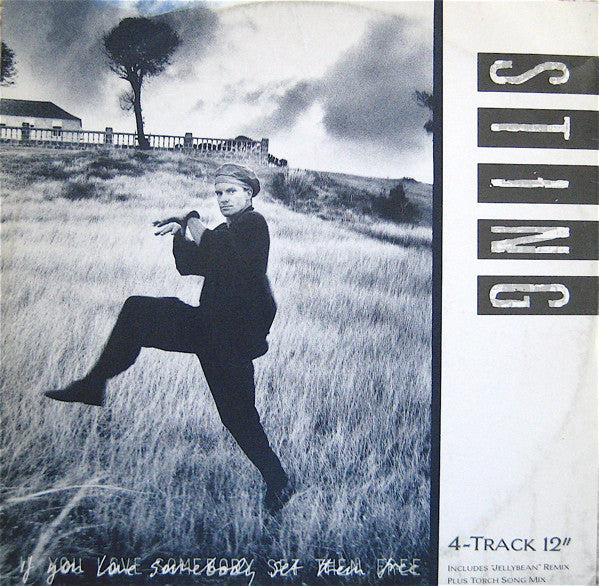 Sting / If You Love Somebody Set Them Free - LP 12" Used