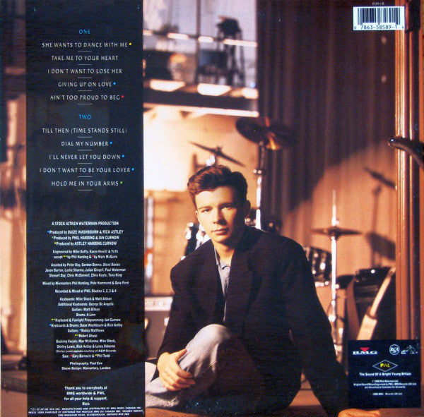 Rick Astley / Hold Me In Your Arms - LP Used