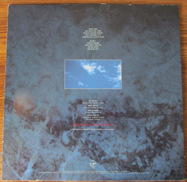 The Northern Pikes / Big Blue Sky - LP Used
