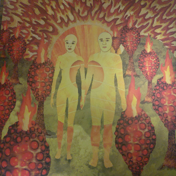 Of Montreal / The Sunlandic Twins - 2LP COLOR