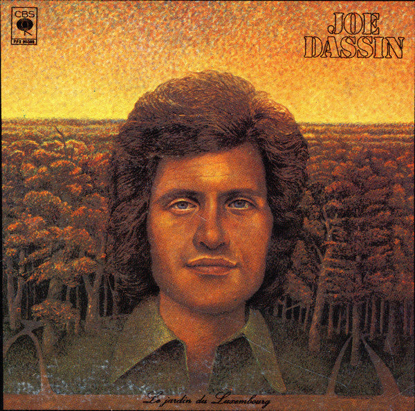 Joe Dassin / Le Jardin Du Luxembourg - LP Used