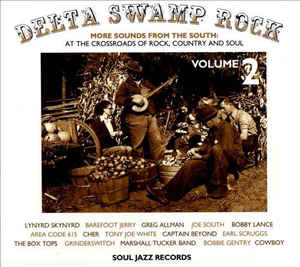 Various / Delta Swamp Rock 2 (More Sounds From The South 1968-75: At The Crossroads Of Rock, Country And Soul) - CD