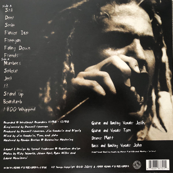 Bigwig / Stay Asleep - LP Used