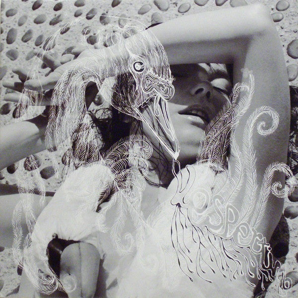 Björk / Vespertine - 2LP