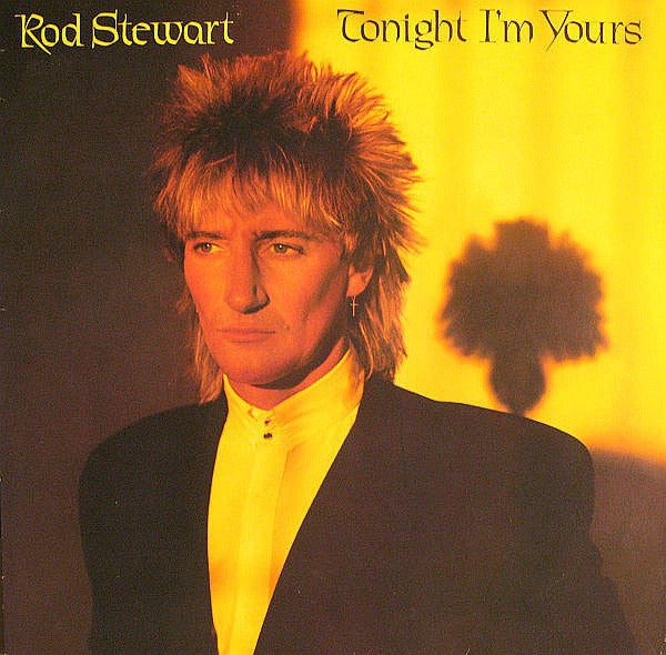 Rod Stewart / Tonight I'm Yours - LP Used