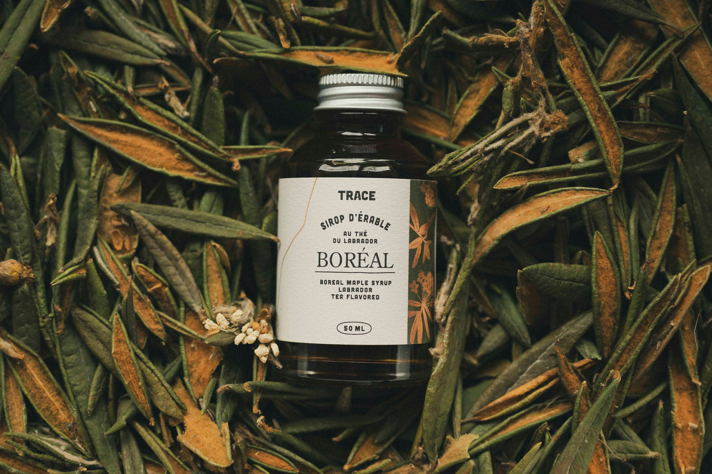 Sirop d'érable boréal - Thé du Labrador