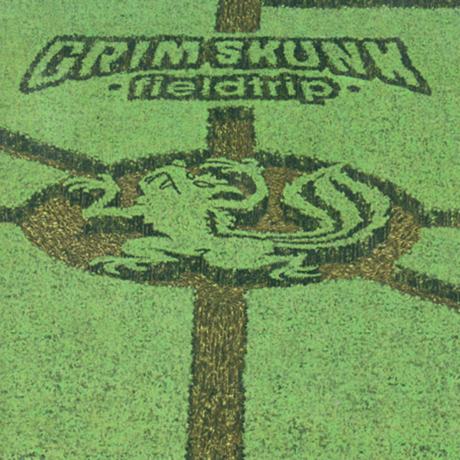 Grimskunk / Fieldtrip - LP BLACK