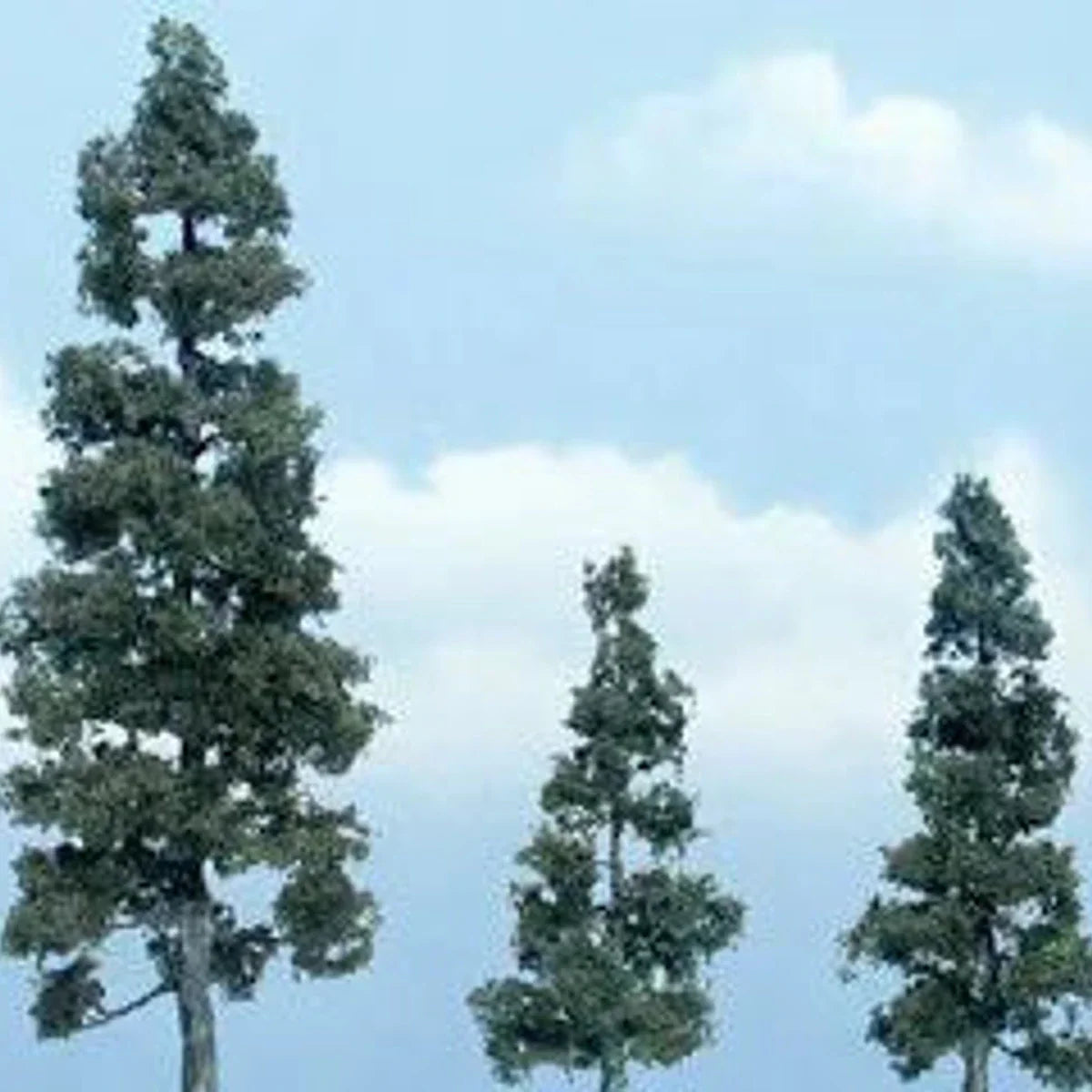 Woodland Scenics Ready Made Premium Trees Deciduous Juniper 1 Each: 5-1/8, 2-5/8 & 3-1/2" (13, 6.7 & 8.9cm)