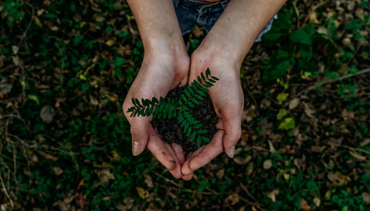 Exploring Sustainable Practices Alternatives to American Brands