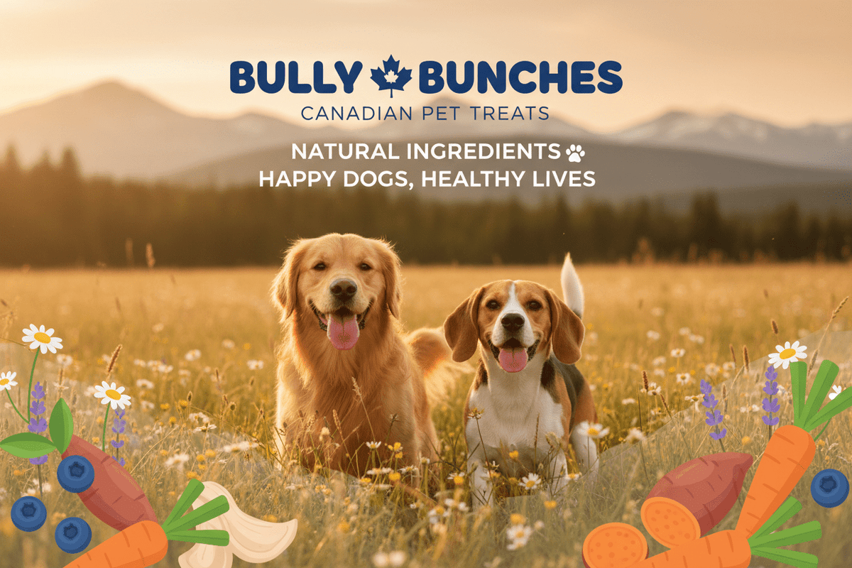 Bully Bunches - Kastor