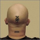 Shadow: Head Sessions / Various
