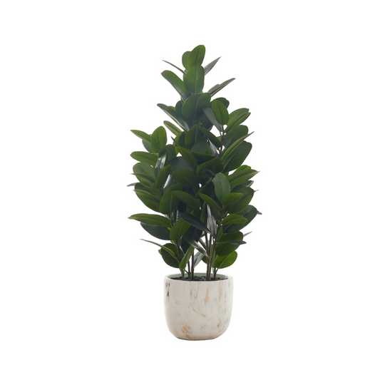 Plante artificielle - Garcinia d'intérieur en pot de 7", 31"H - Monarch (I 9507)