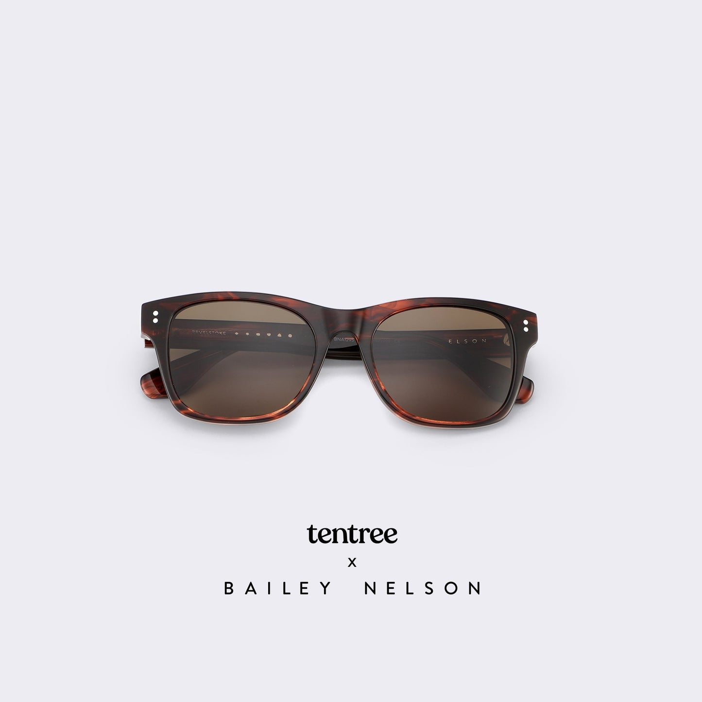 Revelstoke Sunglasses