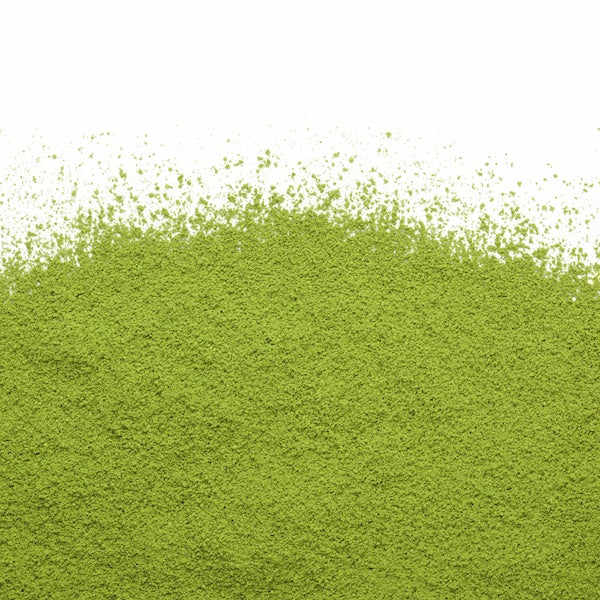 Matcha Uji - Grade cérémonial