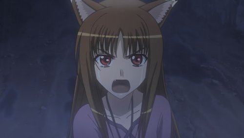 Spice and Wolf - L'intégrale de la série (saisons 1 et 2) [Blu-ray + DVD]