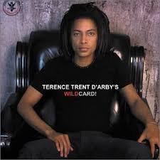 Ternce Trent D'Arby / Wildcard - CD (Used)