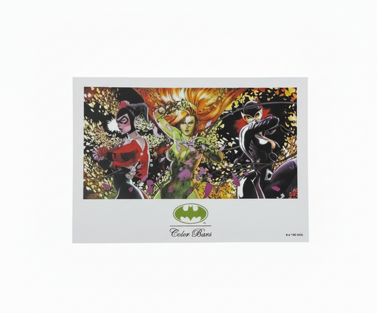 Color Bars x Batman 'Girl Power' Sticker - Multi