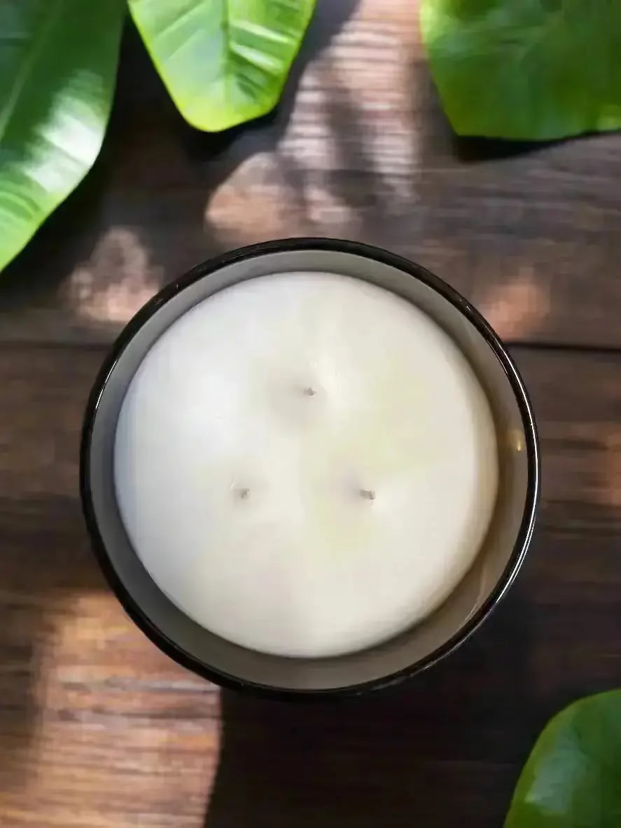 Bougie Quintessence – Lumineuse, cire de coco et d’abricot | Élément Éther