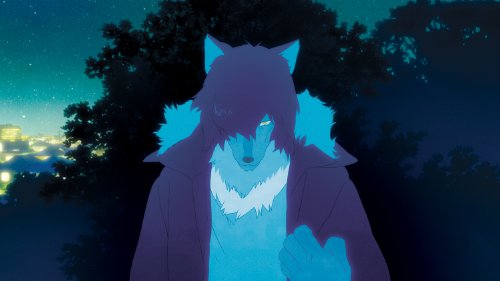 Wolf Children - Bly-Ray/DVD (Used)