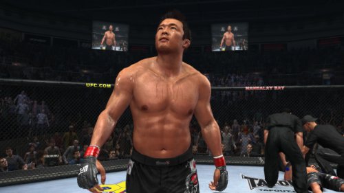 UFC Undisputed 2010
