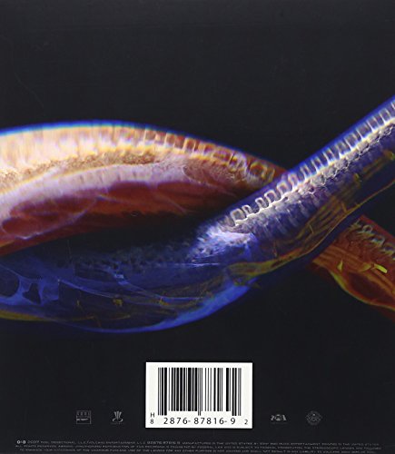 Tool / Vicarious - DVD (Used)