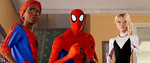 Spider-Man: Into The Spider-verse - DVD