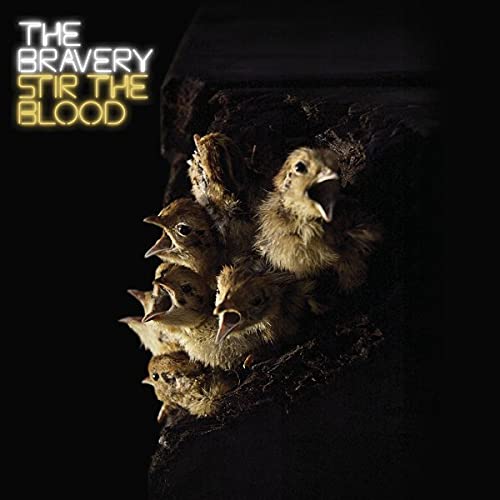 The Bravery / Stir the Blood - CD (Used)