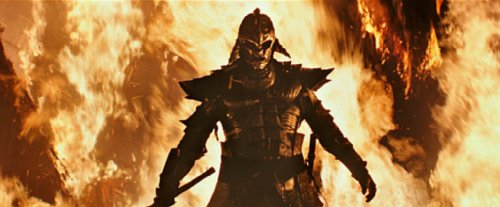 47 Ronin - DVD