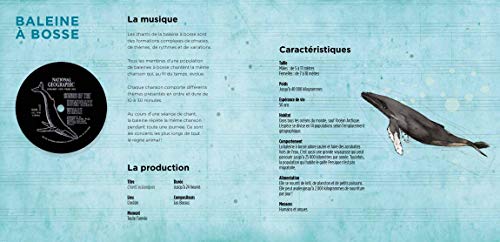 Animaux musiciens
