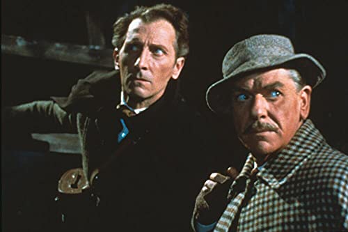 Le chien des Baskerville