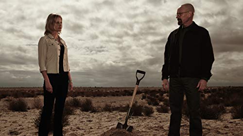 Breaking Bad: The Final Season - DVD (Used)