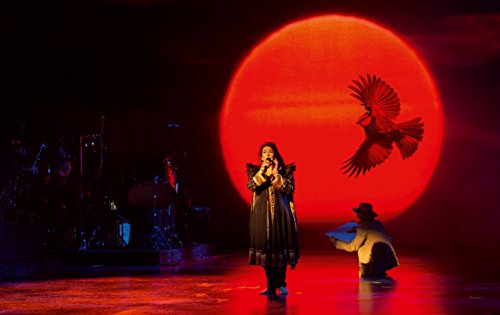 Kate Bush / Before The Dawn - CD