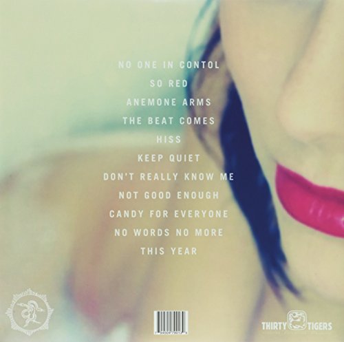 No One In Control (Vinyl)