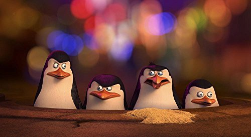 Les Pingouins de Madagascar 3D [Combo Bluray 3D + Bluray 2D + DVD + Digital HD]